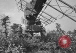 Immagine di Artiglieri contraerei buttare fuori il camuffamento e pistole di manovra Hammond Louisiana USA, 1943, secondo 28 filmato di repertorio 65675050733