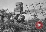 Immagine di Artiglieri contraerei buttare fuori il camuffamento e pistole di manovra Hammond Louisiana USA, 1943, secondo 35 filmato di repertorio 65675050733