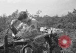 Standbild Antiaircraft Ausbildung bei Hammond Bombardierung und Gunnery Range Hammond Louisiana USA, 1943, aus Sekunde 58 historischem Filmmaterial Videoclip 65675050734