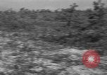 Standbild 55 Brigade AAA-gun crew Züge bei gunnery range Hammond Louisiana USA, 1943, aus Sekunde 10 historischem Filmmaterial Videoclip 65675050735