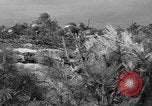 Standbild 55 Brigade AAA-gun crew Züge bei gunnery range Hammond Louisiana USA, 1943, aus Sekunde 13 historischem Filmmaterial Videoclip 65675050735
