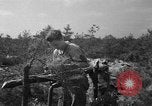 Standbild 55 Brigade AAA-gun crew Züge bei gunnery range Hammond Louisiana USA, 1943, aus Sekunde 28 historischem Filmmaterial Videoclip 65675050735