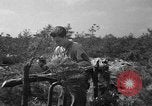 Standbild 55 Brigade AAA-gun crew Züge bei gunnery range Hammond Louisiana USA, 1943, aus Sekunde 29 historischem Filmmaterial Videoclip 65675050735
