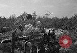 Standbild 55 Brigade AAA-gun crew Züge bei gunnery range Hammond Louisiana USA, 1943, aus Sekunde 30 historischem Filmmaterial Videoclip 65675050735
