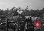 Standbild 55 Brigade AAA-gun crew Züge bei gunnery range Hammond Louisiana USA, 1943, aus Sekunde 31 historischem Filmmaterial Videoclip 65675050735