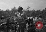 Standbild 55 Brigade AAA-gun crew Züge bei gunnery range Hammond Louisiana USA, 1943, aus Sekunde 32 historischem Filmmaterial Videoclip 65675050735