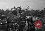 Standbild 55 Brigade AAA-gun crew Züge bei gunnery range Hammond Louisiana USA, 1943, aus Sekunde 35 historischem Filmmaterial Videoclip 65675050735