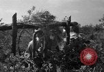 Standbild 55 Brigade AAA-gun crew Züge bei gunnery range Hammond Louisiana USA, 1943, aus Sekunde 38 historischem Filmmaterial Videoclip 65675050735