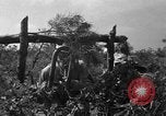 Standbild 55 Brigade AAA-gun crew Züge bei gunnery range Hammond Louisiana USA, 1943, aus Sekunde 39 historischem Filmmaterial Videoclip 65675050735