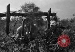 Standbild 55 Brigade AAA-gun crew Züge bei gunnery range Hammond Louisiana USA, 1943, aus Sekunde 40 historischem Filmmaterial Videoclip 65675050735