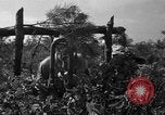 Standbild 55 Brigade AAA-gun crew Züge bei gunnery range Hammond Louisiana USA, 1943, aus Sekunde 42 historischem Filmmaterial Videoclip 65675050735