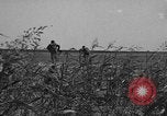 Standbild Truppen 55th Brigade AAA-Zug im Boden Verteidigung Taktik Hammond Louisiana USA, 1943, aus Sekunde 10 historischem Filmmaterial Videoclip 65675050738