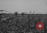 Standbild Truppen 55th Brigade AAA-Zug im Boden Verteidigung Taktik Hammond Louisiana USA, 1943, aus Sekunde 11 historischem Filmmaterial Videoclip 65675050738