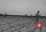 Standbild Truppen 55th Brigade AAA-Zug im Boden Verteidigung Taktik Hammond Louisiana USA, 1943, aus Sekunde 25 historischem Filmmaterial Videoclip 65675050738