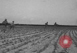 Standbild Truppen 55th Brigade AAA-Zug im Boden Verteidigung Taktik Hammond Louisiana USA, 1943, aus Sekunde 26 historischem Filmmaterial Videoclip 65675050738