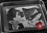 Image of camouflage United States USA, 1942, second 40 stock footage video 65675050739