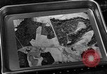 Image of camouflage United States USA, 1942, second 41 stock footage video 65675050739