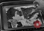 Image of camouflage United States USA, 1942, second 42 stock footage video 65675050739
