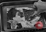 Image of camouflage United States USA, 1942, second 43 stock footage video 65675050739