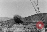 Image of camouflage United States USA, 1942, second 52 stock footage video 65675050739