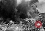 Image of camouflage United States USA, 1942, second 55 stock footage video 65675050739