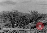 Image of camouflage United States USA, 1942, second 56 stock footage video 65675050739