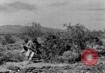 Image of camouflage United States USA, 1942, second 57 stock footage video 65675050739