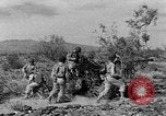 Image of camouflage United States USA, 1942, second 60 stock footage video 65675050739