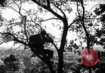Image of camouflage United States USA, 1942, second 1 stock footage video 65675050740