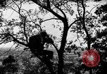 Image of camouflage United States USA, 1942, second 3 stock footage video 65675050740