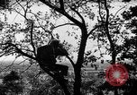 Image of camouflage United States USA, 1942, second 4 stock footage video 65675050740