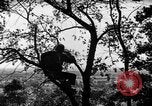 Image of camouflage United States USA, 1942, second 5 stock footage video 65675050740