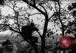 Image of camouflage United States USA, 1942, second 7 stock footage video 65675050740