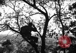 Image of camouflage United States USA, 1942, second 13 stock footage video 65675050740