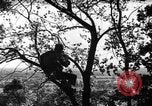 Image of camouflage United States USA, 1942, second 14 stock footage video 65675050740