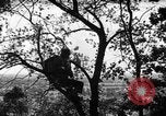 Image of camouflage United States USA, 1942, second 15 stock footage video 65675050740
