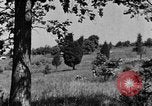 Image of camouflage United States USA, 1942, second 18 stock footage video 65675050740