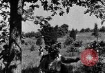 Image of camouflage United States USA, 1942, second 26 stock footage video 65675050740