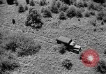 Image of camouflage United States USA, 1942, second 35 stock footage video 65675050740