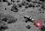 Image of camouflage United States USA, 1942, second 37 stock footage video 65675050740