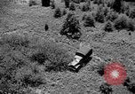 Image of camouflage United States USA, 1942, second 44 stock footage video 65675050740