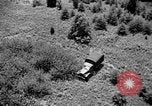 Image of camouflage United States USA, 1942, second 45 stock footage video 65675050740