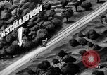 Image of camouflage United States USA, 1942, second 59 stock footage video 65675050741