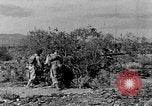 Image of camouflage United States USA, 1942, second 8 stock footage video 65675050742