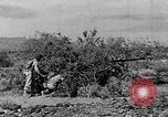 Image of camouflage United States USA, 1942, second 10 stock footage video 65675050742