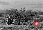 Image of camouflage United States USA, 1942, second 11 stock footage video 65675050742