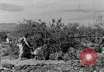 Image of camouflage United States USA, 1942, second 13 stock footage video 65675050742