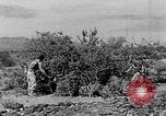 Image of camouflage United States USA, 1942, second 15 stock footage video 65675050742