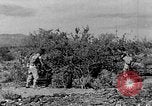 Image of camouflage United States USA, 1942, second 16 stock footage video 65675050742