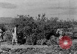 Image of camouflage United States USA, 1942, second 17 stock footage video 65675050742